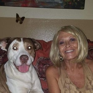 Meet your Posher, Jayne